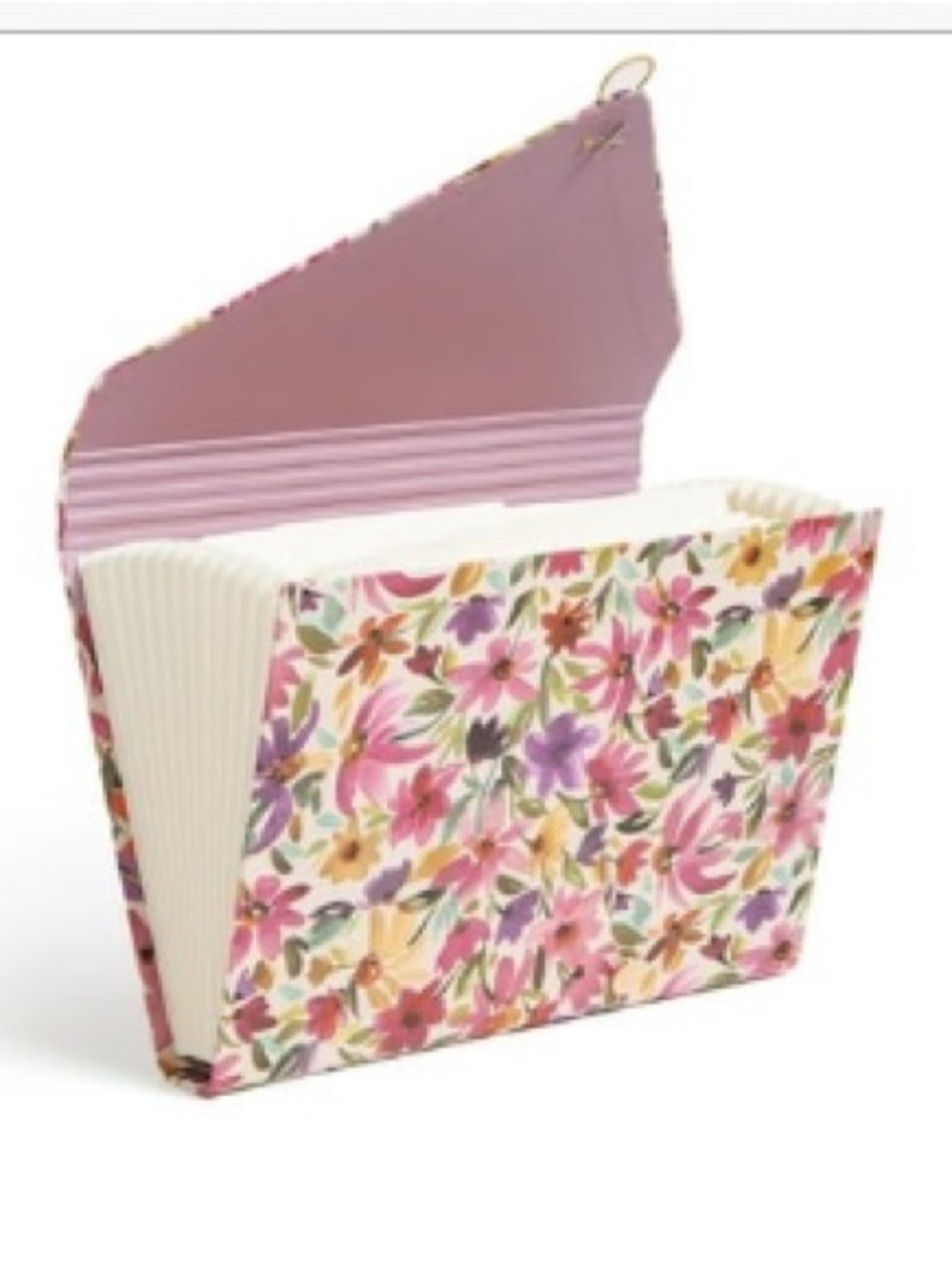 New U Brands 13 Pocket
Expandable File 13 X
9.18 X1.47 Bountiful
Bouquet